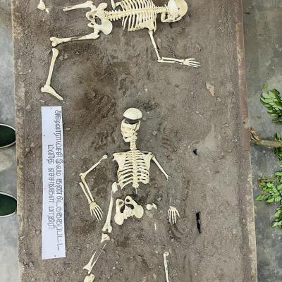 Whatsapp Image 2023 10 03 At 11.10.09 Am 10 Thumb